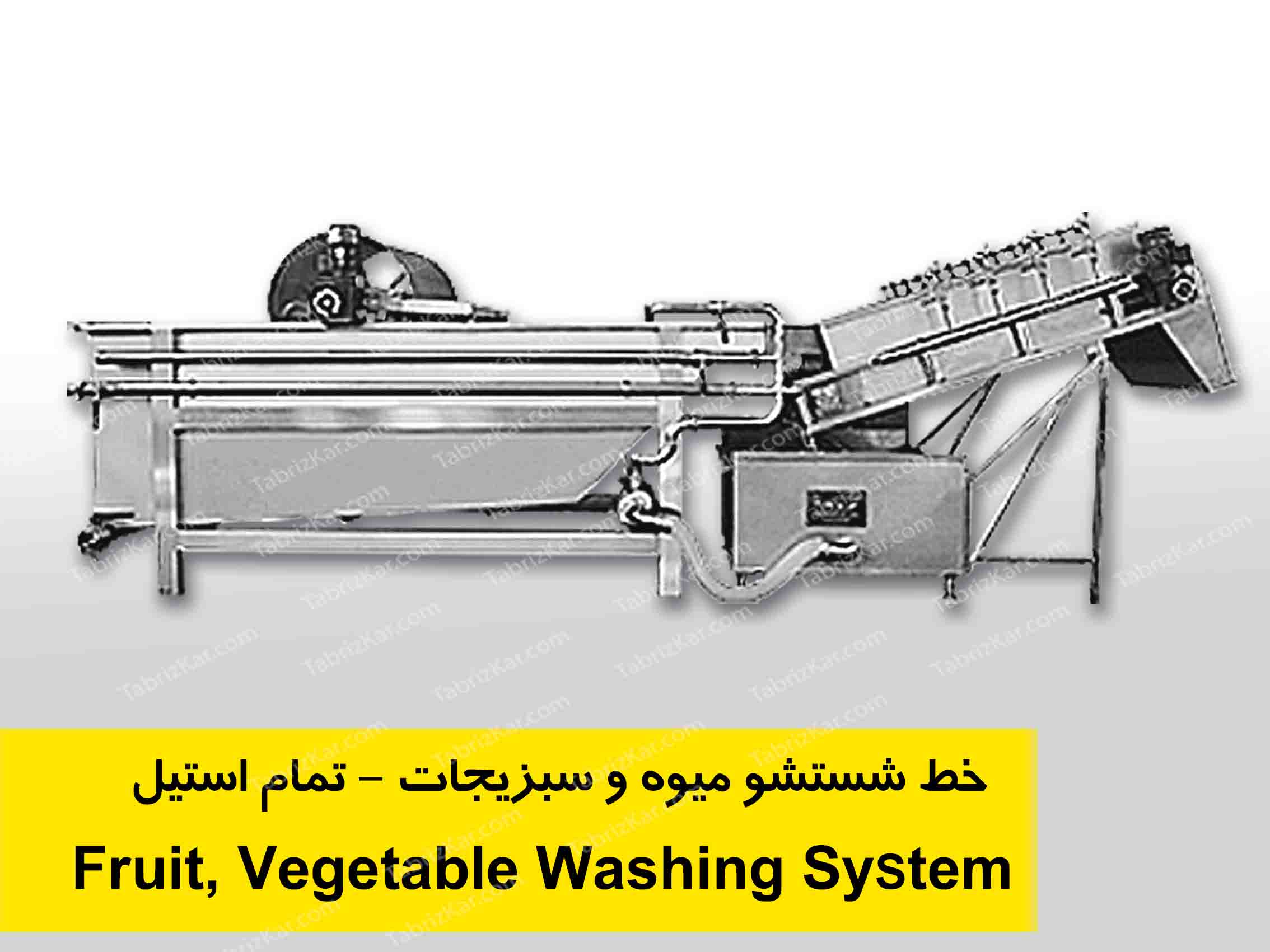 Fruit and Vegetable Washing machinery